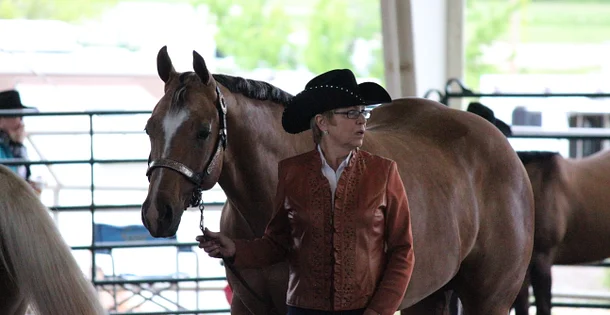 Oklahoma Buckskin Horse Show