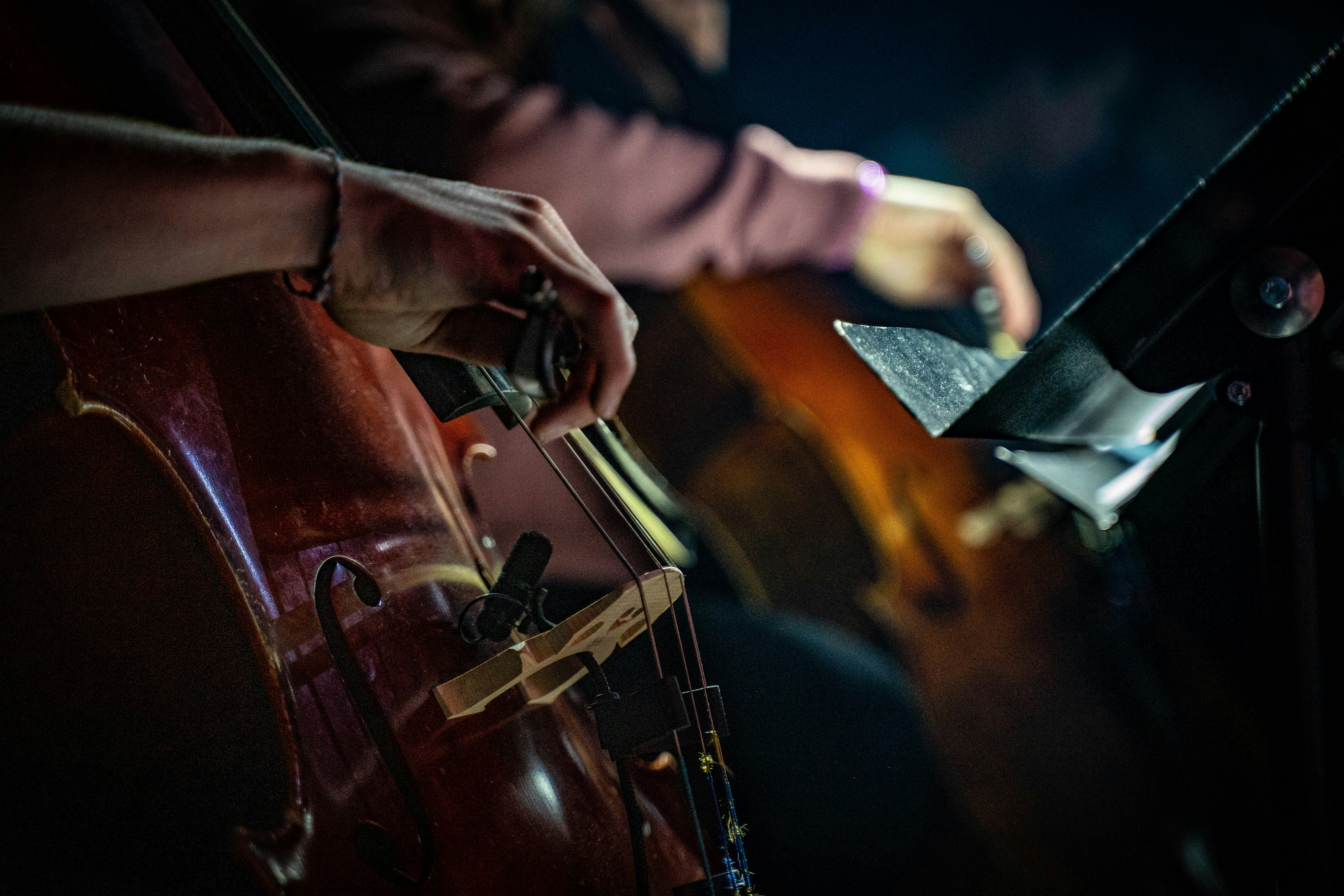 Symphony in the Park